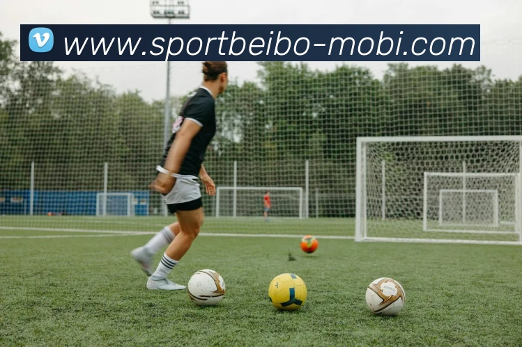 贝博体育平台生态图