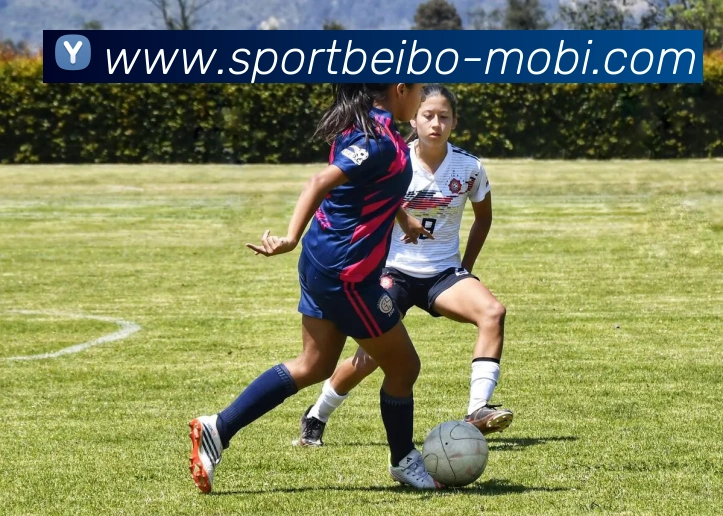 贝博体育APP 封面图