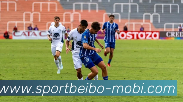 数据防护可视化